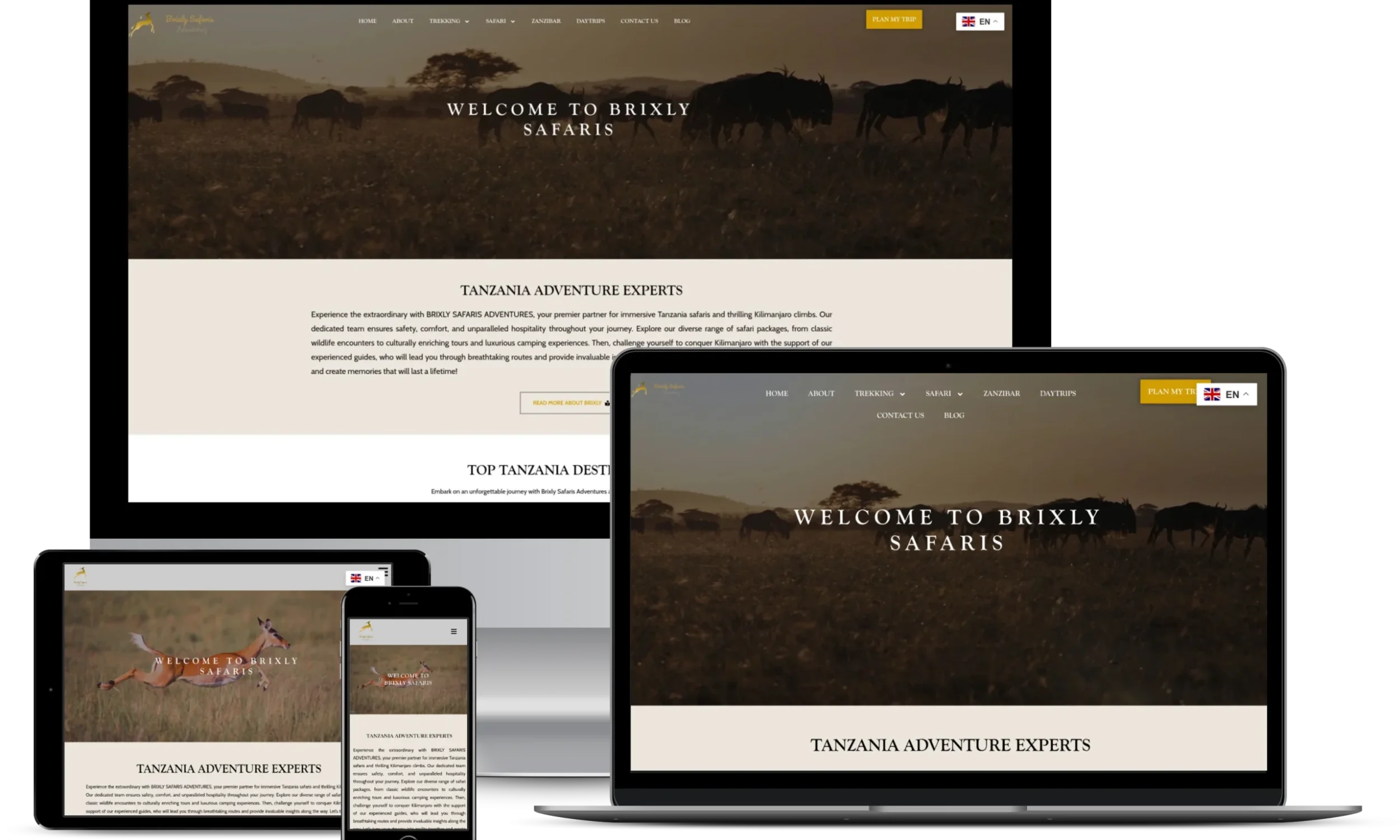 Brixly safaris